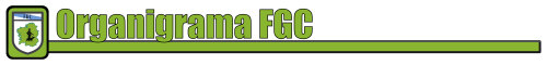 Organigrama FGC