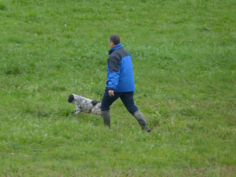 Adestramento con fins de competición vinculado á práctica dunha competición deportiva federada