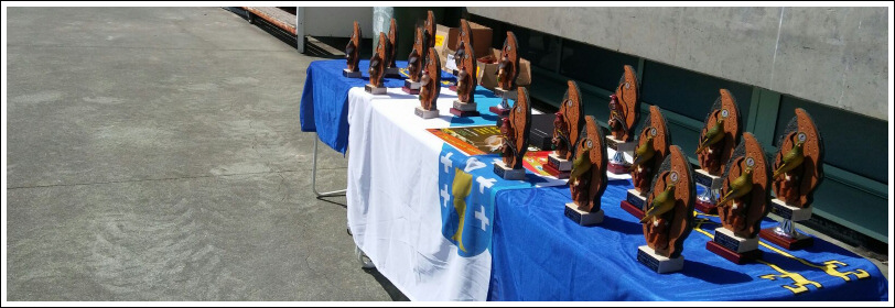 Os mellores cantos provinciais déronse cita en Rio Seco