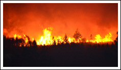 Cazador, se ves lume, ¡avísanos!