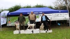 Antonio González co seu pointer “Lider” proclamouse Campión Galego de Caza Menor con Can na Terra Chá