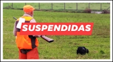 A FGC suspende as actividades e competicións deportivas previstas para este mes de marzo