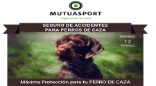 Novo seguro de ACCIDENTES PARA CANS DE CAZA