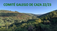 Xuntanza do Comité Galego de Caza e propostas da FGC 