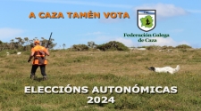 A caza para as forzas políticas ante os comicios autonómicos