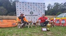 Os beagles do coruñés Daniel Bouzas acadan o autonómico de rastro de coello 