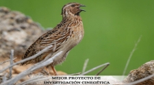 O proxecto Coturnix, impulsado por Mutuasport xunto á Fundación Artemisan, RFEC e federacións de caza, foi recoñecido como Mellor Proxecto de Investigación Cinexética nos II Premios Estremeños da Caza