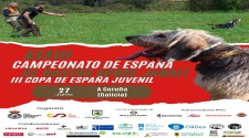 Galicia será o epicentro dos cans de rastro sobre xabaril ao acoller o Campionato de España