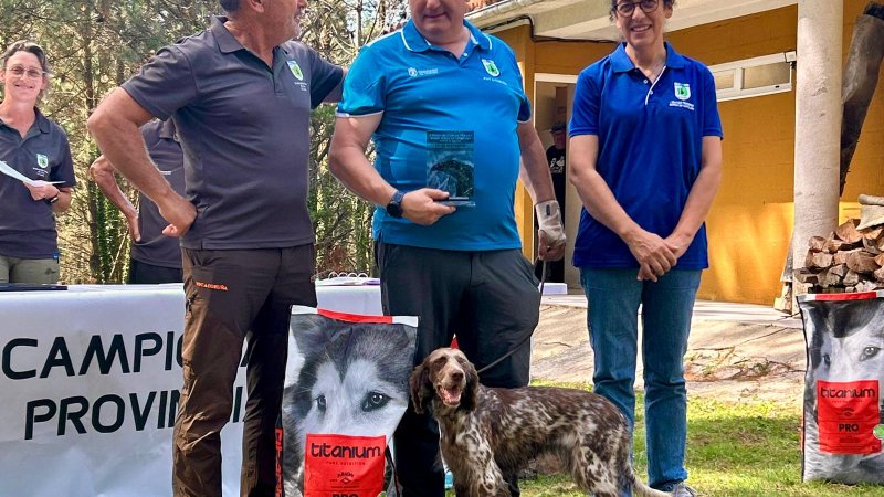 A setter inglesa “Mia” foi a gañadora da Proba de Cans de Parada sobre Perdiz en Montaña