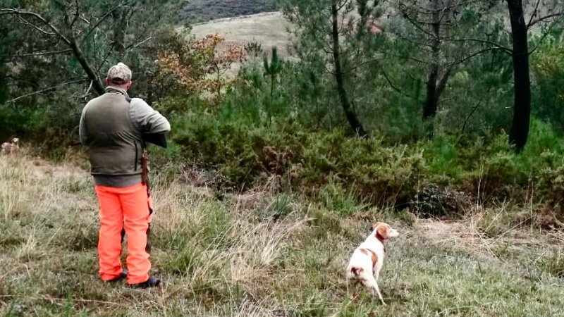 A tempada de Caza Menor comeza con resultados desiguais