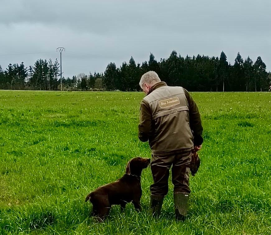 Andalucía e Castela a Mancha incluidas oficialmente na licenza interautonómica de caza