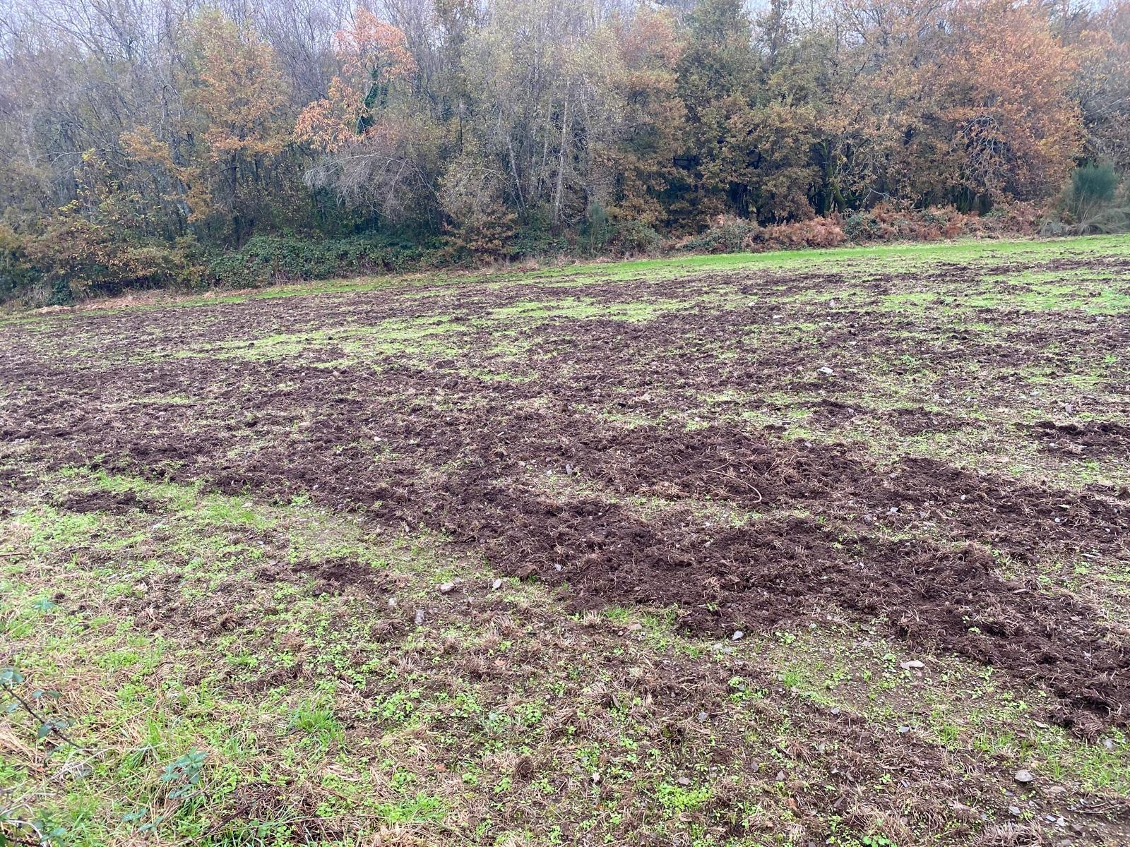 A FGC reivindica bonificacións económicas aos Tecores incluidos na Emerxencia Cinexética