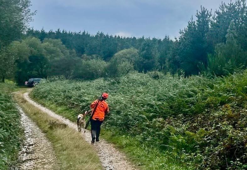O número de cazadores nas batidas de corzo e raposo e os adestramentos foron outras das peticións da FGC no Comité de Caza