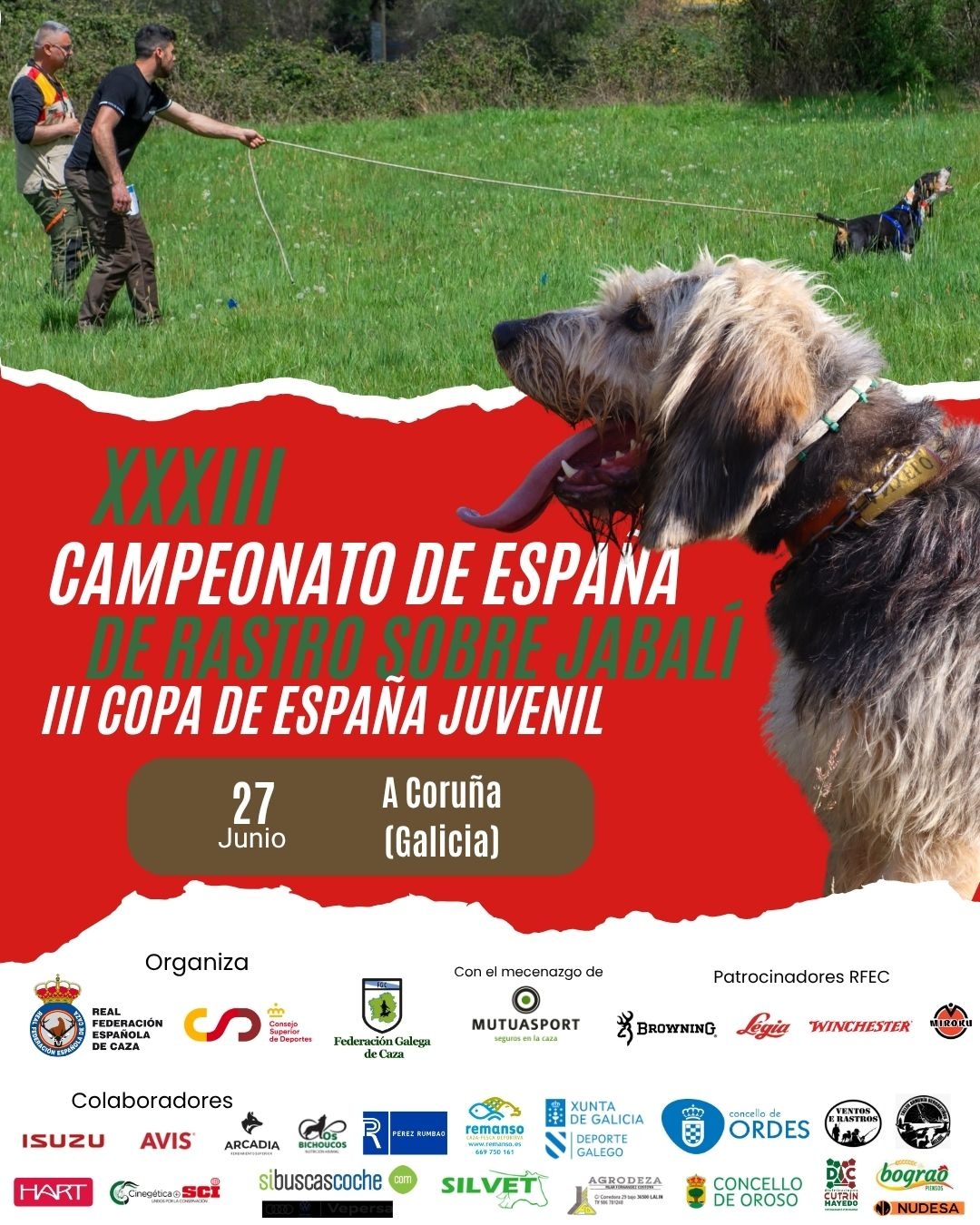 Galicia será o epicentro dos cans de rastro sobre xabaril ao acoller o Campionato de España