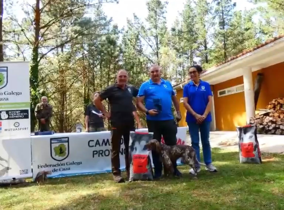 A setter inglesa “Mia” foi a gañadora da Proba de Cans de Parada sobre Perdiz en Montaña