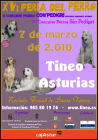 XVI Feria del Perro de Tineo