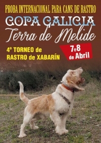 IV Proba de Cans de Rastro de Xabaril "Terras de Melide"