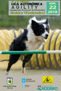 Liga Autonómica de Agility - Campionato Provincial de Pontevedra