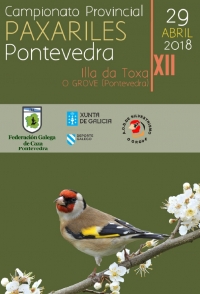 Campionato Provincial de Pontevedra de Paxariles