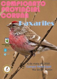 Campionato Provincial da Coruña de Paxariles
