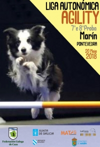 Liga Autonómica de Agility