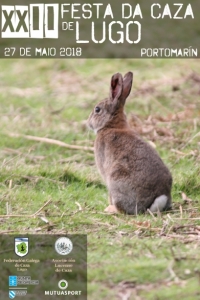XXII Festa da Caza de Lugo