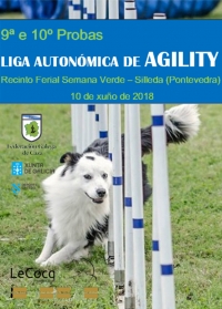 Liga Autonómica de Agility