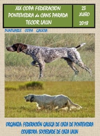 Copa Federación de Pontevedra de Cans de Parada [APRAZADO]