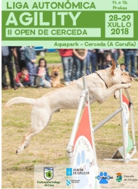 LIGA AUTONÓMICA DE AGILITY - II OPEN DE CERCEDA