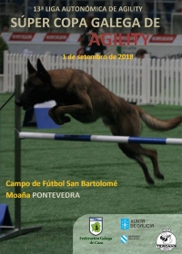 Supercopa Galega de Agility