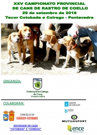 Campionato Provincial de Pontevedra de Cans de Rastro de Coello