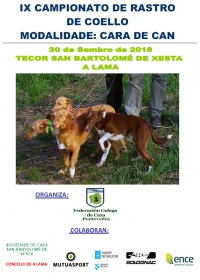 Campionato de Cans de Rastro de Coello "Cara de Can"