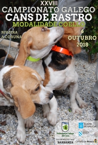 XXVIII Campionato Galego de Cans de Rastro de Coello