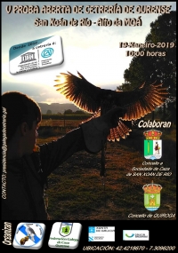 Proba Aberta de Cetraría de Ourense