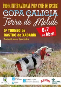 V Torneo "Terra de Melide" de Rastro de Xabaril
