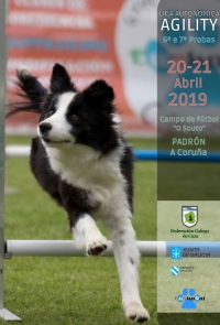 Liga Autonómica de Agility