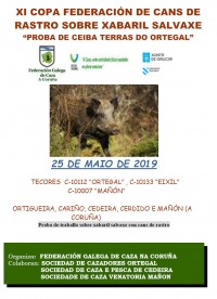 XI Copa Federación de Rastro de Xabaril Salvaxe