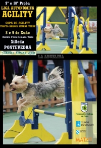 Liga Autonómica de Agility