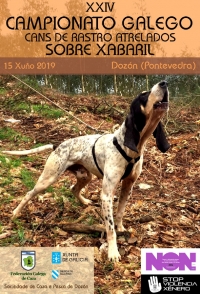 XXIV Campionato Galego de Cans de Rastro de Xabaril