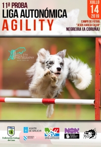 Liga Autonómica de Agility