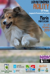 Liga Autonómica de Agility