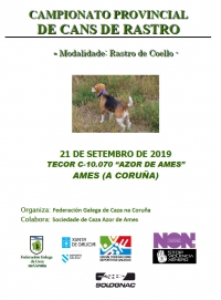 Campionato Provincial de A Coruña de Cans de Rastro sobre Coello