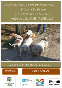 Campionato Provincial de Pontevedra de Cans de Rastro sobre Coello