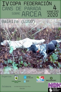IV Copa Federación de Cans de Parada sobre Arcea