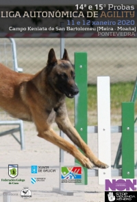 Liga Autonómica de Agility