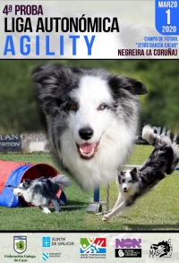 Liga Autonómica de Agility