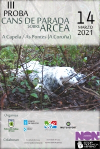 III Proba Cans de Parada sobre Arcea