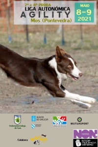 Liga Autonómica de Agility