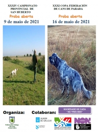 Campionato Provincial de Pontevedra de Caza San Huberto