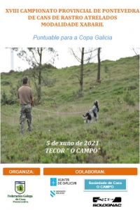 Campionato Provincial de Pontevedra de Cans de Rastro sobre Xabaril